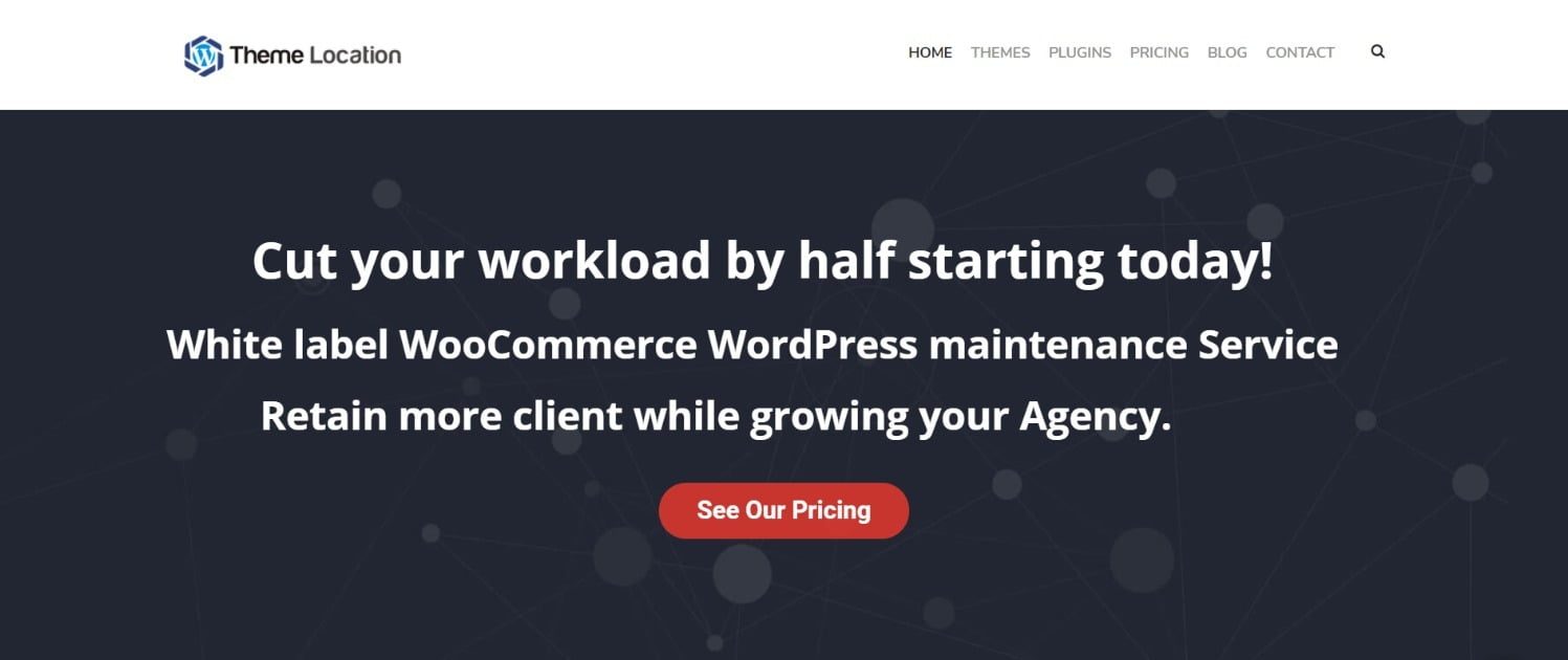 Themelocation WordPress Management Services