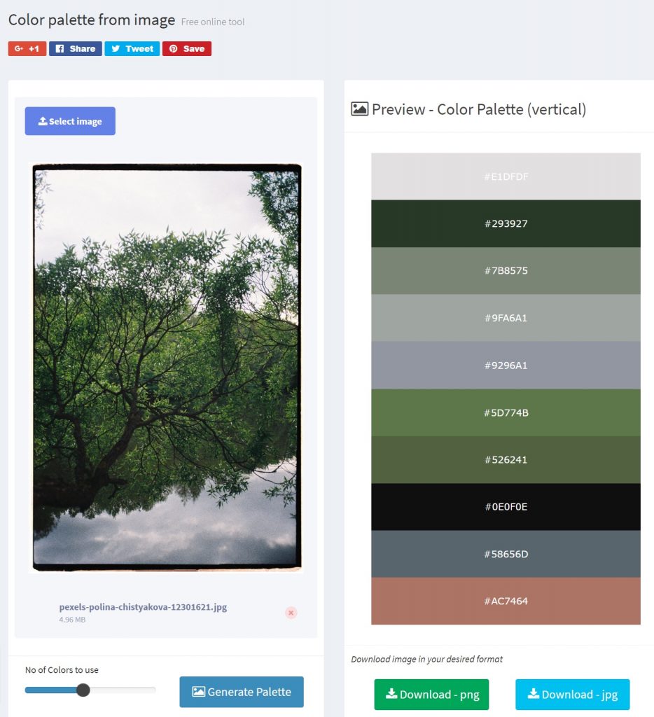 color palette from image online